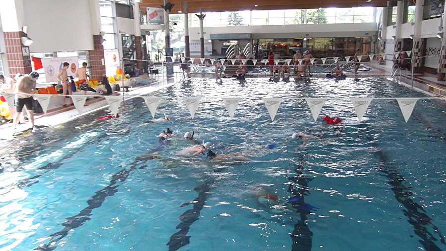 Hokej pod wodą Walenie Siemianowice Śląskie Trzebnica VI  2015